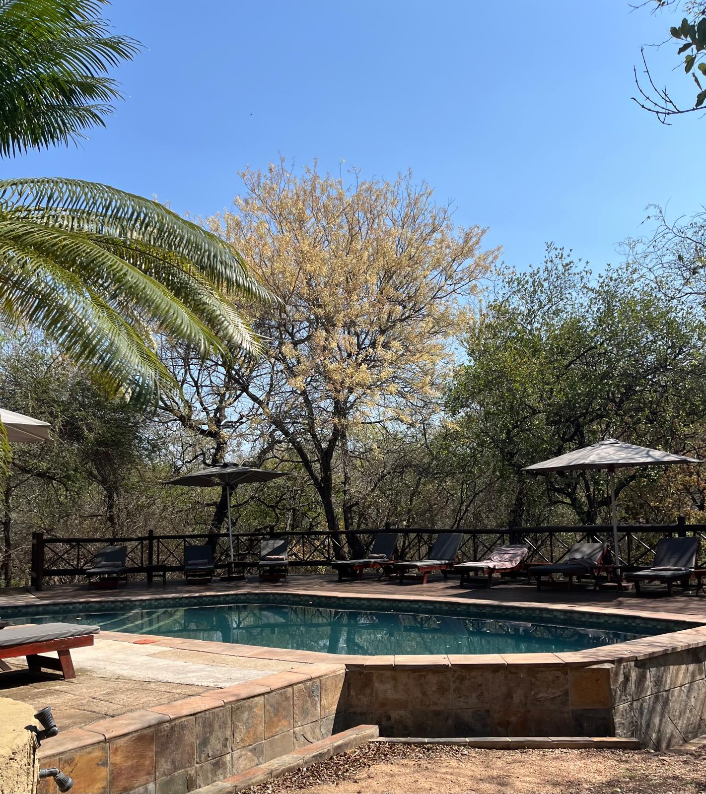 Pool der Grand Kruger Lodge